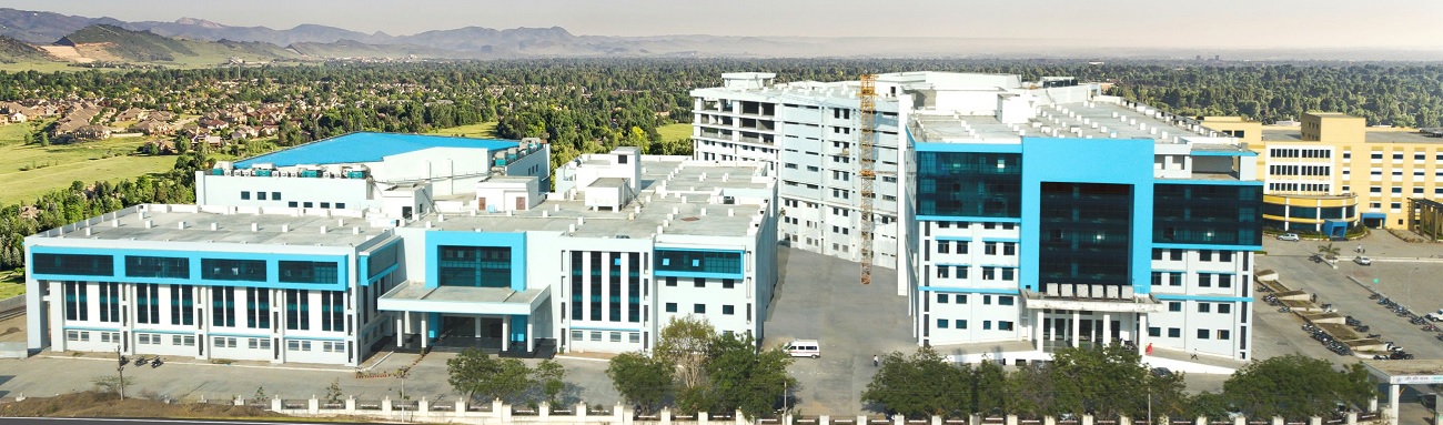 American International Institute of Medical Sciences, Udaipur